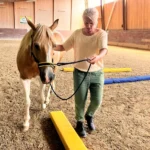 1001011-1001-011-0-Equikinetic---muscle training-according to Michael Geitner