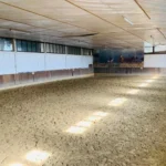 1001033-1001-033-0-Fuehrtraining-und-Seilarbeit-in-Orpund--BE-