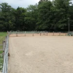 1001033-1001-033-0-Fuehrtraining-und-Seilarbeit-in-Orpund--BE-_3