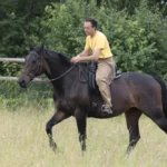 1001050-1001-050-001-Einfuehrungskurs--Gebissloses-Reiten--_5
