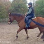 1002005-1002-005-0-Tellington-riding course-with-Anke-Recktenwald_3