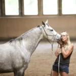 10761-10761-00-KS-Holistic horse training---Teilnehmer_2