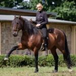 10761-10761-00-KS-Holistic horse training---Teilnehmer_4