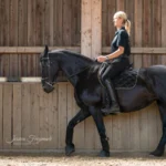 10761-10761-00-KS-Holistic horse training---Teilnehmer_5
