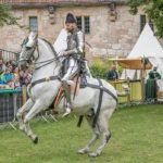 1082001-1082-001-0 Arne Koets-Historical-dressage-and-Mounted-Kampf_1