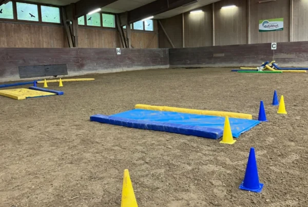 Melaka Equigym-Matte 5 x 100 x 300 cm