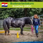 900306070-900306070-1-Kroatien----Pferdekommunikation-im-Roundpen_1