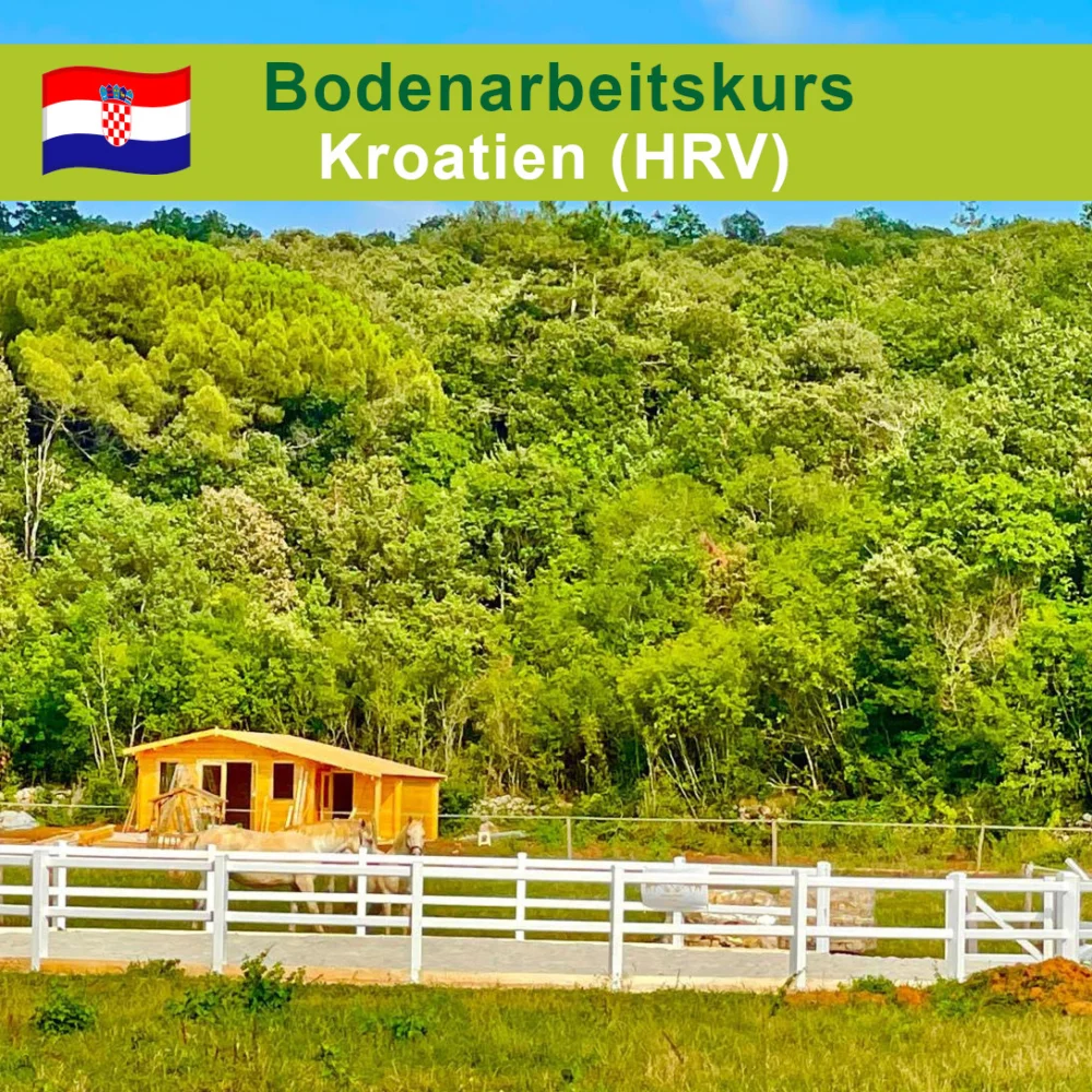 Pferdekommunikation Kroatien