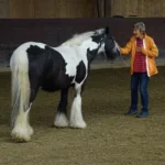 999108409-1087-001-0-Heart-meets-Horse_1