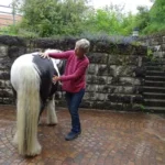 999108409-1087-001-0-Heart-meets-Horse_5