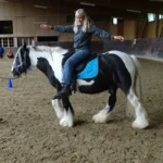 999108409-1087-001-0-Heart-meets-Horse_7