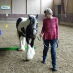 999108409-1087-001-0-Heart-meets-Horse_8