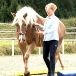 999108416-NEW-μ 16208-Equigym---with-Alexandra-Schmid_2