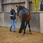 999108427-NEW-16629-1-Tageskurs--Longentraining