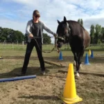 999108437-NEW-16936-Round-Pen Training-and-Equikinetic----in-Haspelmoor--D-_5