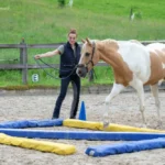 Dual_IMG_3211_(c)JessicaFreymark