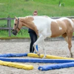 Dual_IMG_3212_(c)JessicaFreymark