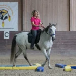 Dualreiten-3-1500x1500