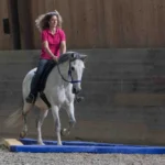 Dual Ride-Andrea
