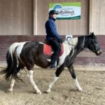 Feines-Reiten-7-500x500