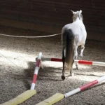 Photo-Long Work-3.1