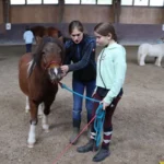 Fuehren-2-quadratisch-500x500
