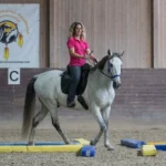 Ridden Dual Activation " Of Individual Lessons