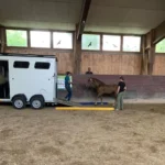 Haenger Training-Markus