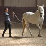 Jossy-Reynvoet-course-1x1