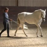 Jossy-Reynvoet-course-2-1x1