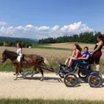 Jugendcamp-2021-Kutschfahrt-mit-Keanu-2