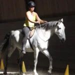 Reiten-mit-dem-Halsring-Einzelunterricht_2