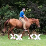 Reiten-mit-dem-Halsring-Einzelunterricht_4