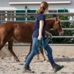 Round-Pen-1-quadrat-500x500