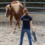 Round-Pen-3-quadratisch-500x500