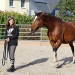 Round-Pen-6-quadratisch-500x500
