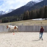 Round-Pen-in-San-Jon-3