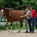 SEIL_IMG_0998_(c)JessicaFreymark