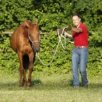 Seilarbeit-12