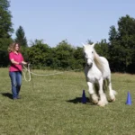 Seilarbeit-2