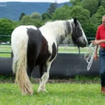 Webversion_IMG_0469_(c)JessicaFreymark