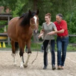 Webversion_IMG_0967_(c)JessicaFreymark