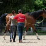 Webversion_IMG_1072_(c)JessicaFreymark