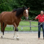 Webversion_IMG_1214_(c)JessicaFreymark - JK