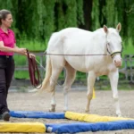 Webversion_IMG_1756_(c)JessicaFreymark