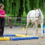 Webversion_IMG_1764_(c)JessicaFreymark