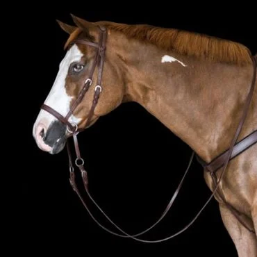Bitless Bridle "BETA" – Bild 2