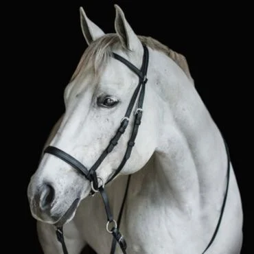 Bitless Bridle "BETA" – Bild 3