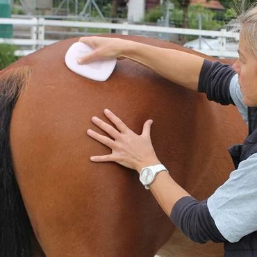 FasciaDisc® für Mensch und Pferd – Bild 2