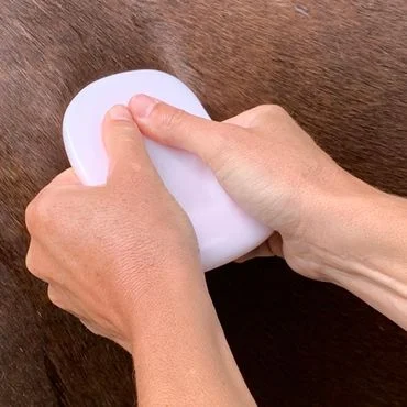 FasciaDisc® für Mensch und Pferd – Bild 3